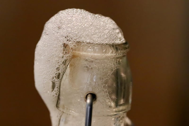 Fermentation